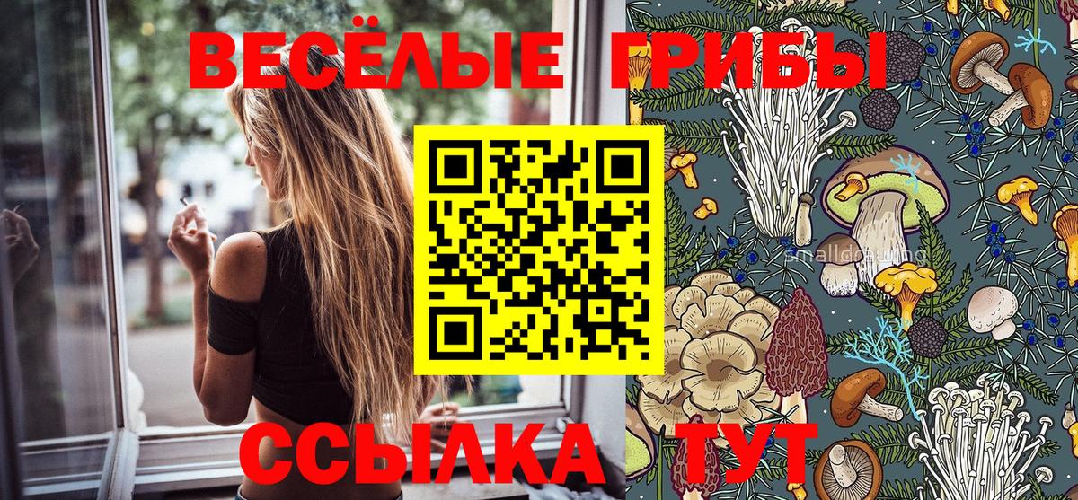 Псилоцибиновые грибы прущие грибы  Вход с VPN  Карталы 
